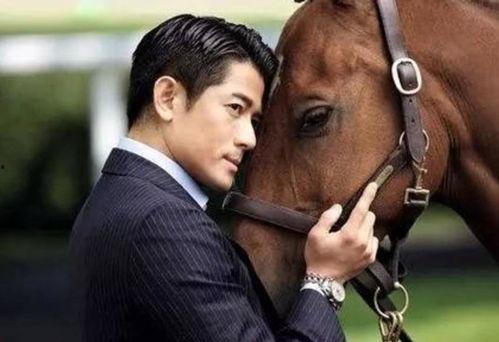 娱乐圈大侄子 马,娱乐圈大侄子的璀璨星途